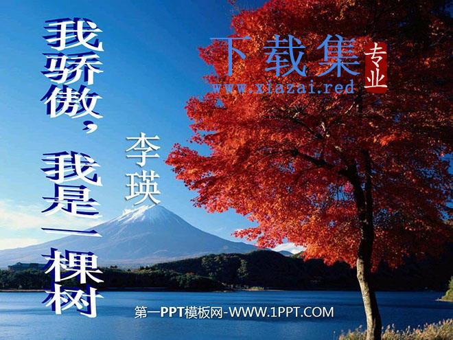 《我骄傲，我是一棵树》PPT课件2