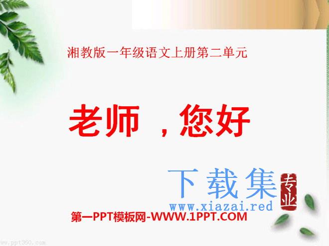 《老师，您好》PPT课件6