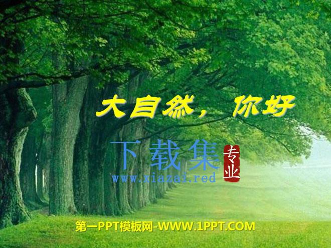 《大自然，你好》PPT课件2