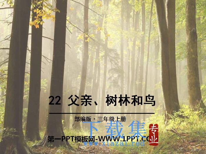 《父亲、树林和鸟》PPT下载