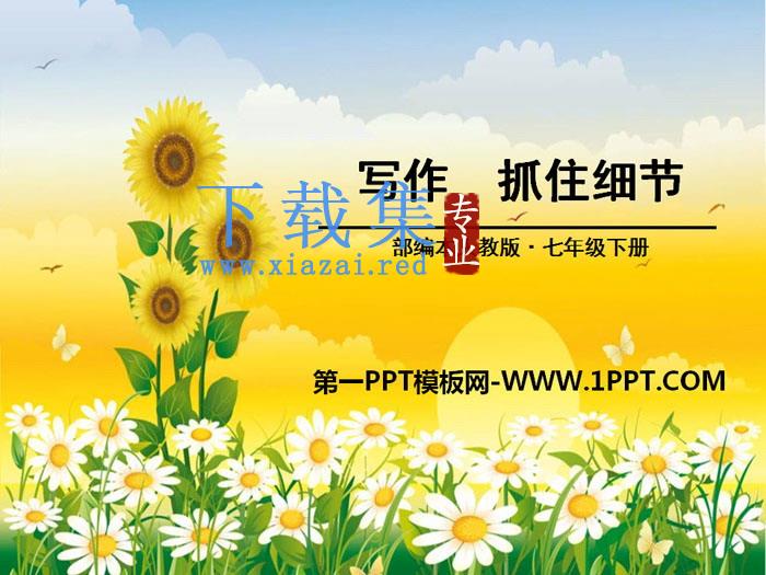 《抓住细节》PPT