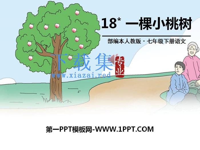 《一棵小桃树》PPT