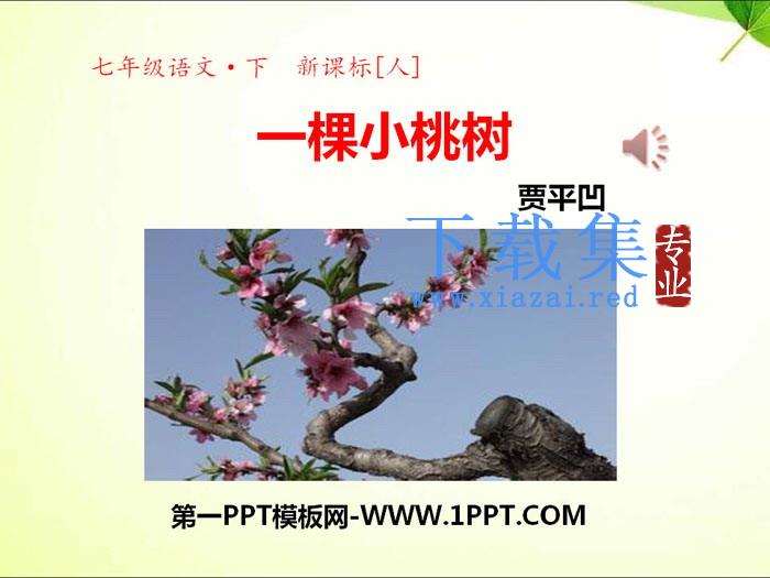 《一棵小桃树》PPT课件