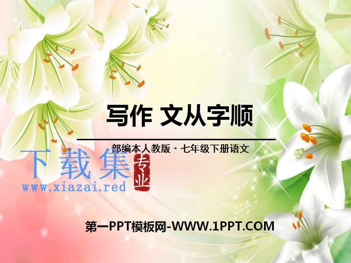 《文从字顺》PPT