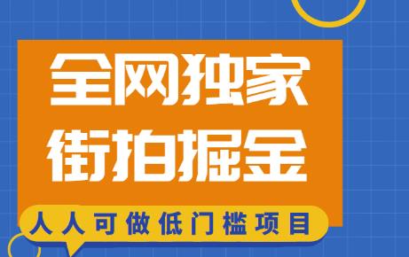 全网独家一街拍掘金，低门槛人人可做的赚钱项目【揭秘】