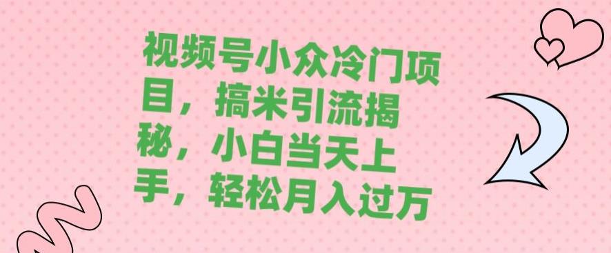 视频号小众冷门项目，搞米引流揭秘，小白当天上手，轻松月入过万