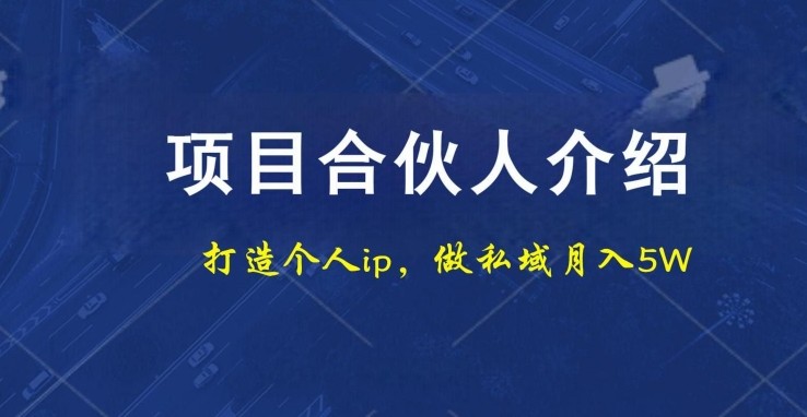 项目合伙人项目，打造个人IP，做私域月入5W，小白勿扰