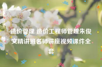 造价管理 造价工程师管理朱俊文精讲班名师讲座视频课件全套