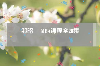 邹昭晞 MBA课程全28集