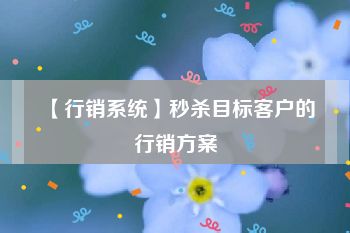 【行销系统】秒杀目标客户的行销方案