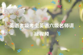 英语考级考虫英语六级名师讲座视频