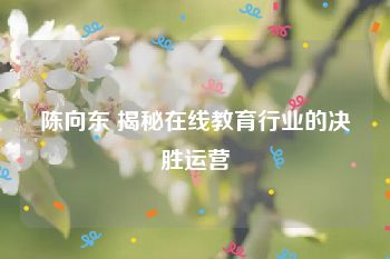 陈向东 揭秘在线教育行业的决胜运营