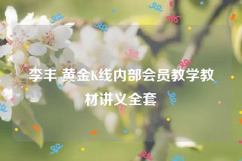 李丰 黄金K线内部会员教学教材讲义全套