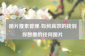 图片搜索管理-如何高效的找到你想要的任何图片