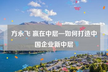 方永飞 赢在中层—如何打造中国企业新中层