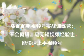 张萌萌姐视频号实战训练营：不会剪辑，毫无短视频经验也能快速上手视频号