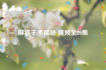 麻将千术揭秘 视频全20集