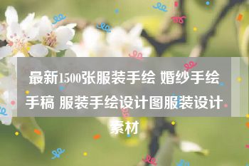 最新1500张服装手绘 婚纱手绘手稿 服装手绘设计图服装设计素材