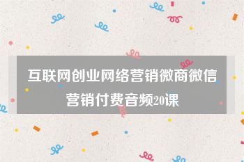 互联网创业网络营销微商微信营销付费音频20课