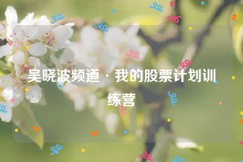 吴晓波频道·我的股票计划训练营