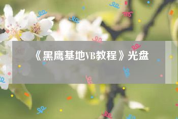 《黑鹰基地VB教程》光盘