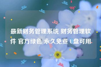 最新财务管理系统 财务管理软件 官方绿色 永久免费 U盘可用