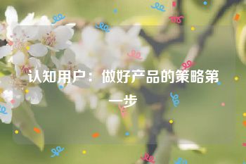 认知用户：做好产品的策略第一步