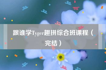 跟谁学Tyger趣拼综合班课程（完结）