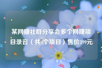 某网赚社群分享会多个网赚项目录音（共9个项目）售价399元