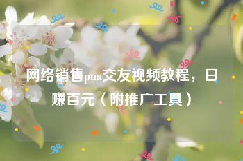 网络销售pua交友视频教程，日赚百元（附推广工具）