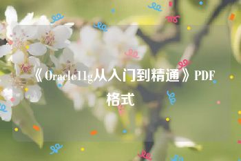 《Oracle11g从入门到精通》PDF格式