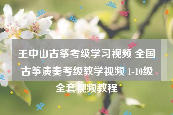 王中山古筝考级学习视频 全国古筝演奏考级教学视频 1-10级全套视频教程