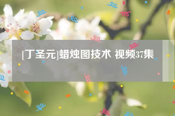 [丁圣元]蜡烛图技术 视频37集