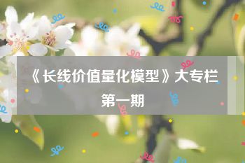 《长线价值量化模型》大专栏 第一期