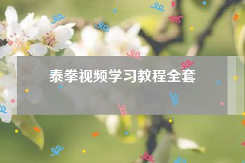 泰拳视频学习教程全套