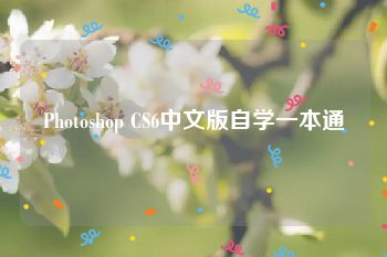 Photoshop CS6中文版自学一本通