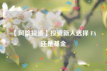 【风险投资】投资新人选择 FA 还是基金