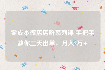 零成本微店店群系列课 手把手教你三天出单，月入2万+