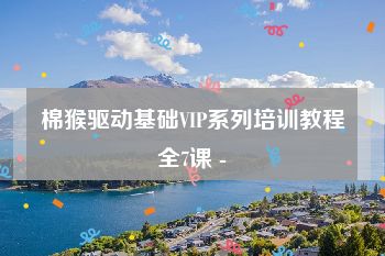 棉猴驱动基础VIP系列培训教程全7课 -