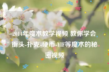 2014年魔术教学视频 教你学会街头-扑克-硬币-YIF等魔术的秘密视频