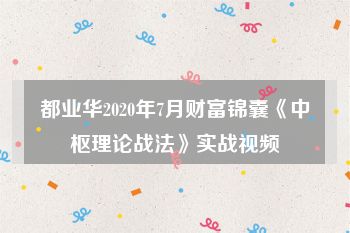 都业华2020年7月财富锦囊《中枢理论战法》实战视频