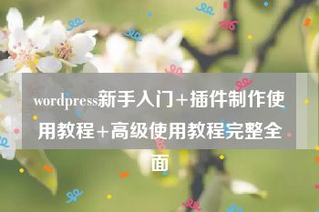 wordpress新手入门+插件制作使用教程+高级使用教程完整全面