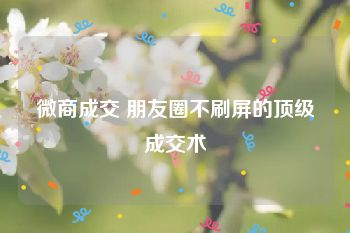 微商成交 朋友圈不刷屏的顶级成交术