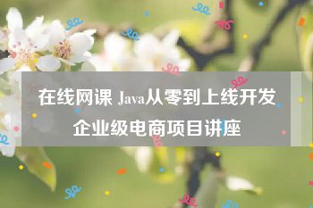 在线网课 Java从零到上线开发企业级电商项目讲座