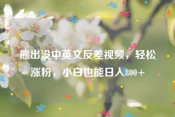 熊出没中英文反差视频，轻松涨粉，小白也能日入800+