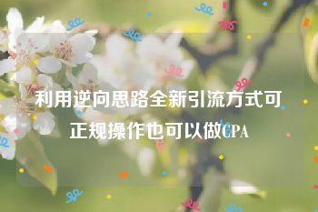 利用逆向思路全新引流方式可正规操作也可以做CPA