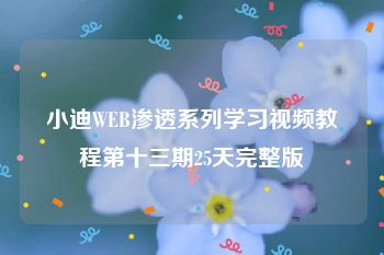 小迪WEB渗透系列学习视频教程第十三期25天完整版