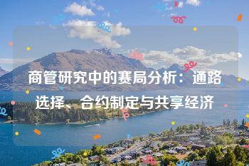 商管研究中的赛局分析：通路选择、合约制定与共享经济