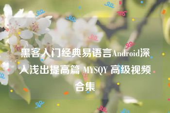 黑客入门经典易语言Android深入浅出提高篇 MYSQY 高级视频合集