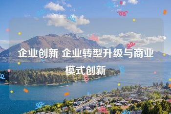 企业创新 企业转型升级与商业模式创新